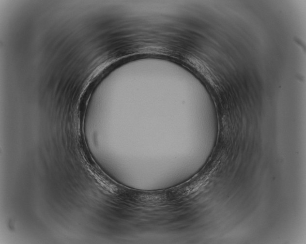 X0000097840931200804041440