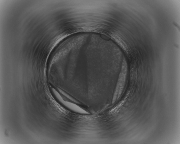 X0000097840932200804041440