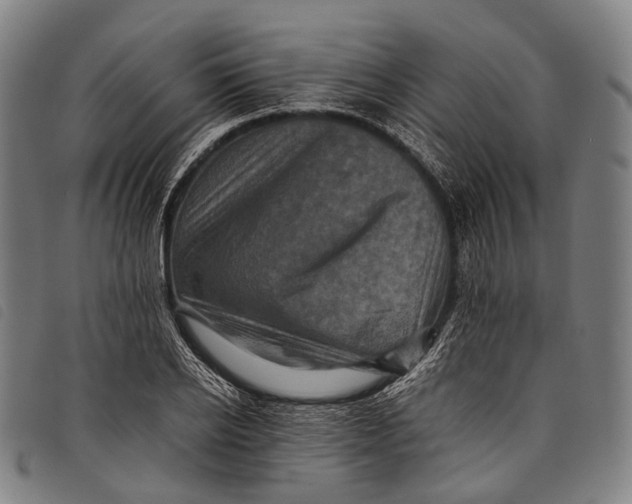 X0000097840934200804041440