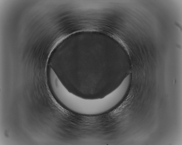 X0000097840935200804041440