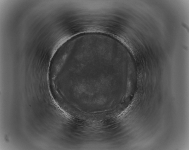 X0000097840943200804041440