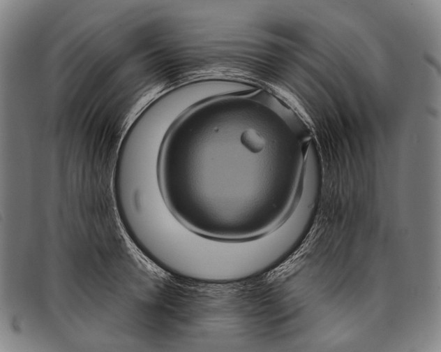X0000097840946200804041440