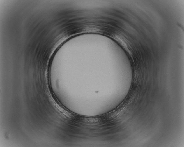 X0000097840947200804041440
