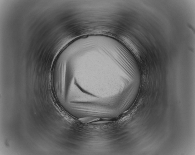 X0000097840948200804041440