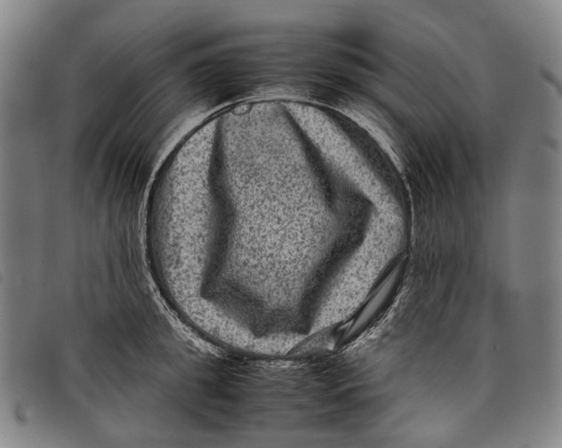 X0000097840949200804041440