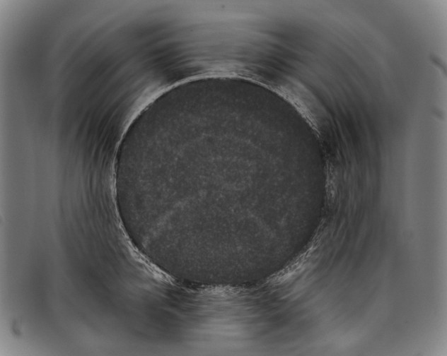 X0000097840950200804041440