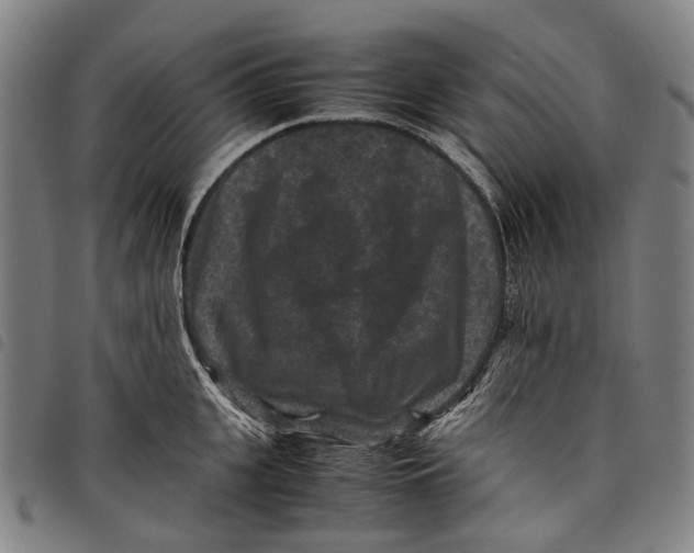 X0000097840951200804041440