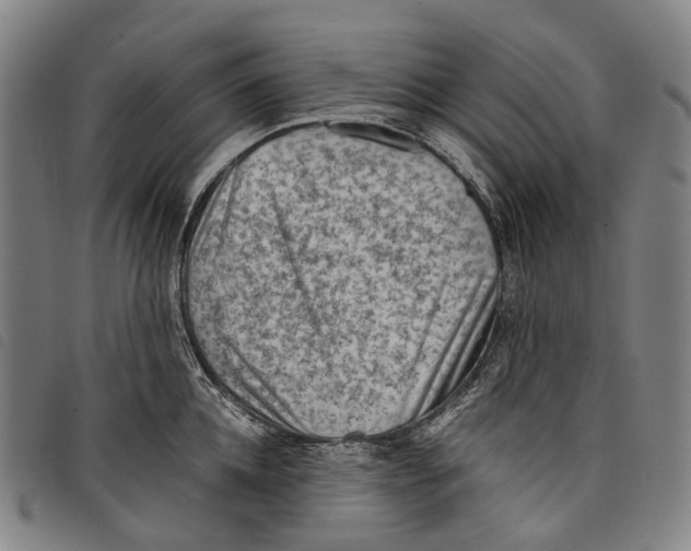 X0000097840952200804041440
