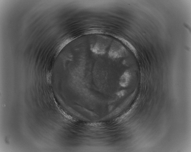 X0000097840953200804041440