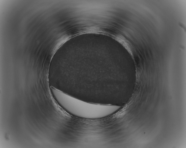 X0000097840954200804041440
