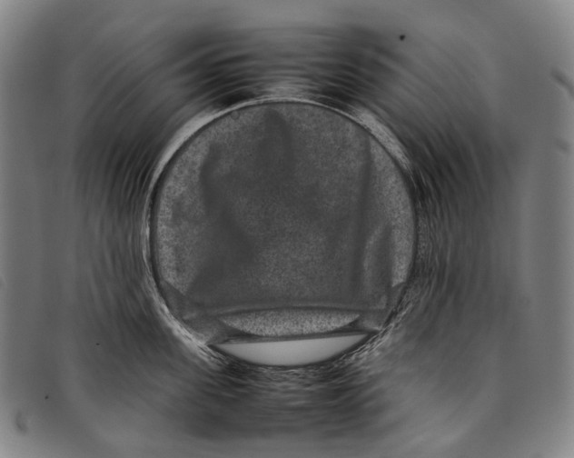 X0000097840955200804041440