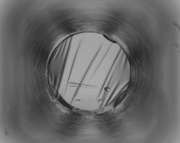 X0000097840956200804041441