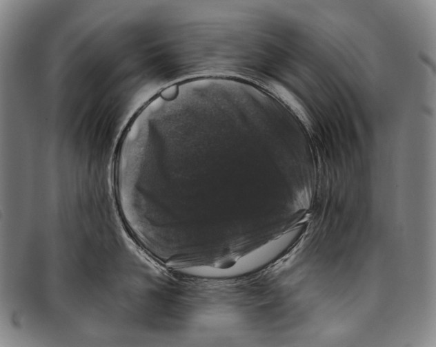 X0000097840958200804041441