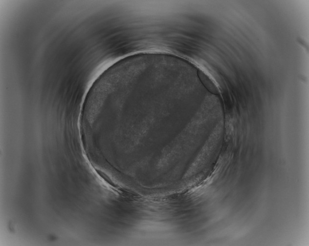 X0000097840959200804041441