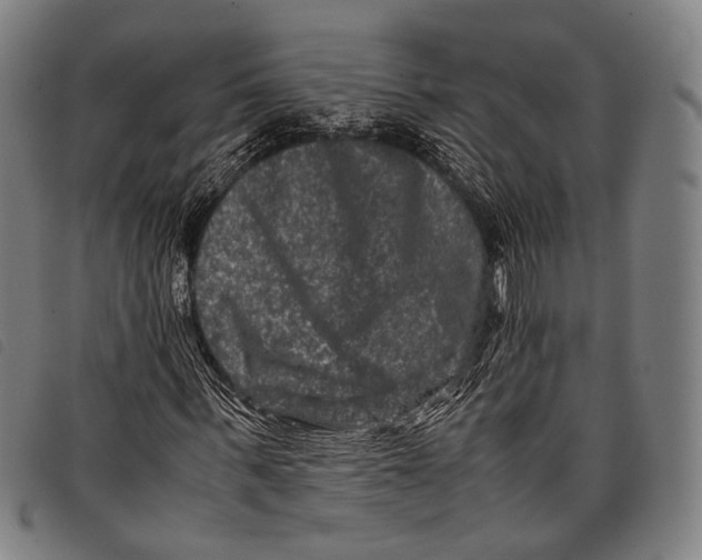X0000097840963200804041440