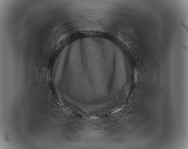 X0000097840965200804041440