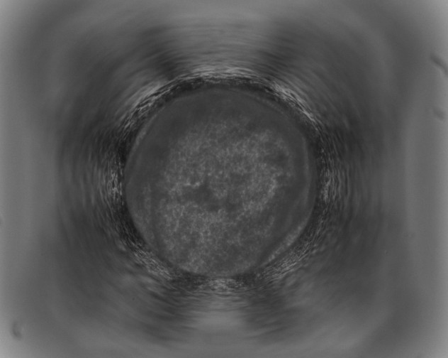 X0000097840966200804041440