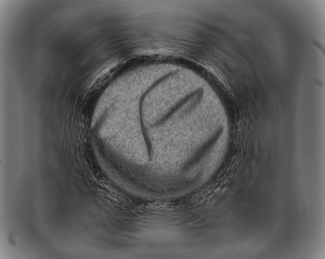 X0000097840967200804041440