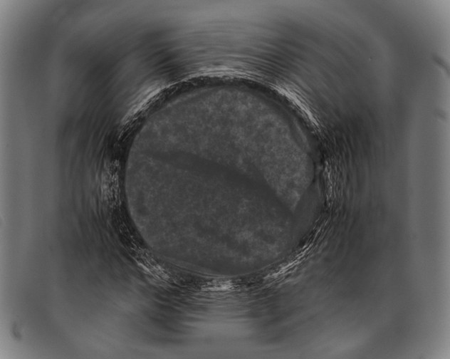 X0000097840968200804041440