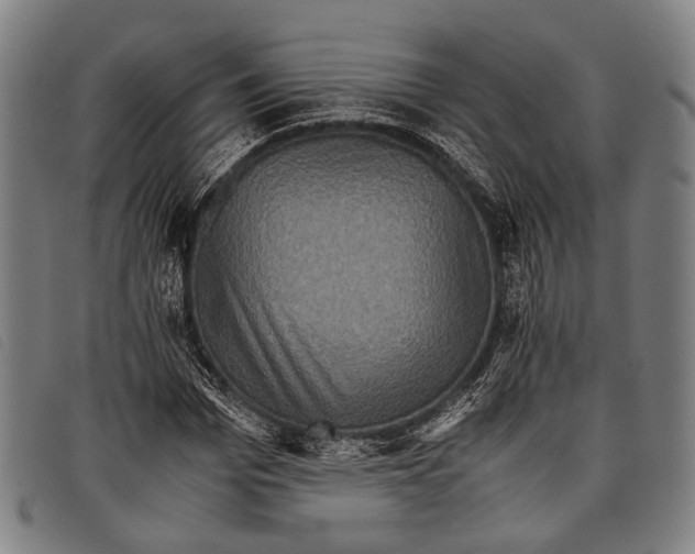 X0000097840969200804041440