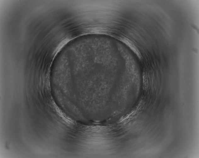X0000097840972200804041440