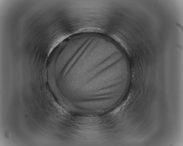 X0000097840973200804041440