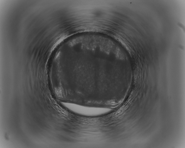 X0000097840975200804041440