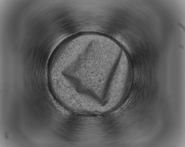 X0000097840976200804041440