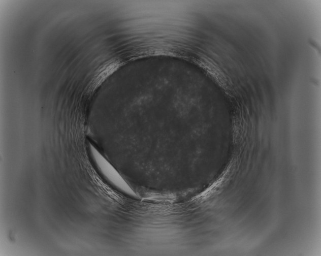 X0000097840977200804041440