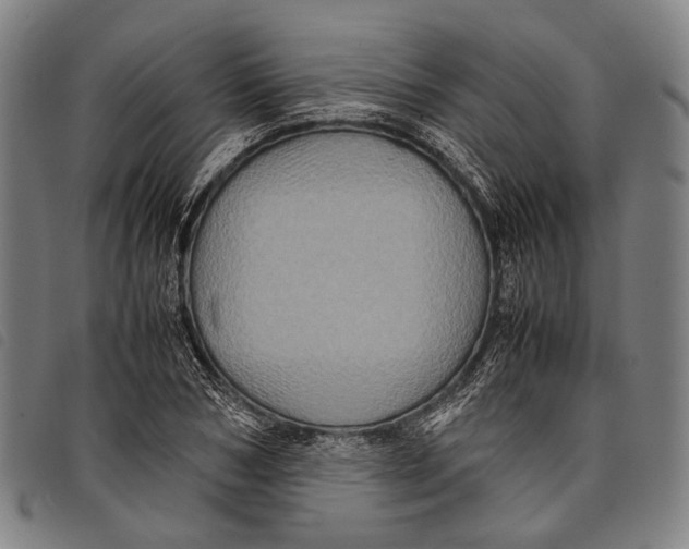 X0000097840978200804041439