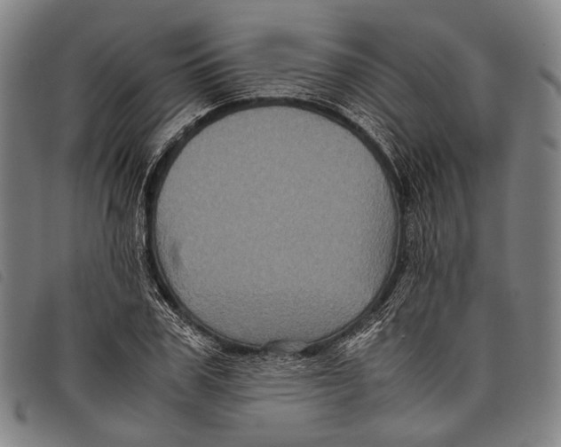 X0000097840979200804041439