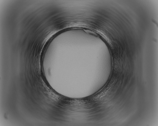 X0000097840980200804041439