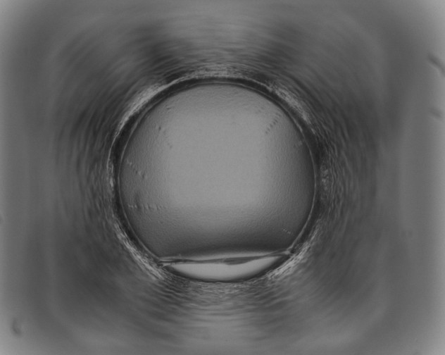 X0000097840981200804041439