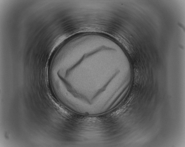 X0000097840982200804041439