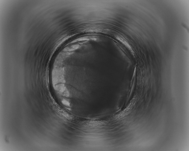 X0000097840984200804041439