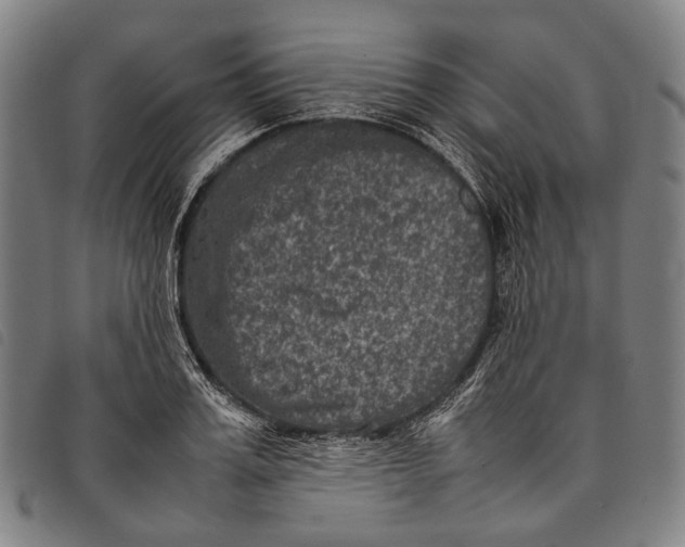 X0000097840987200804041439
