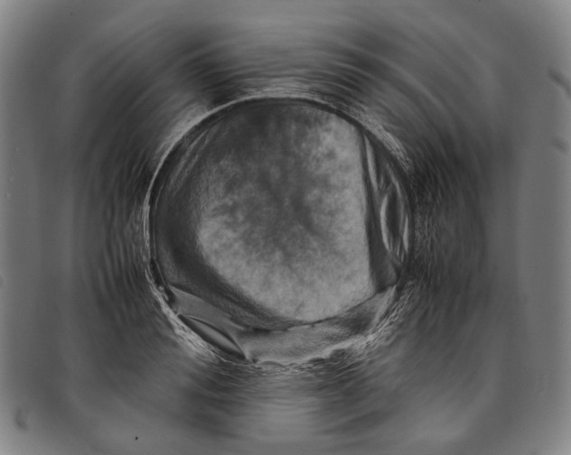 X0000097840988200804041439