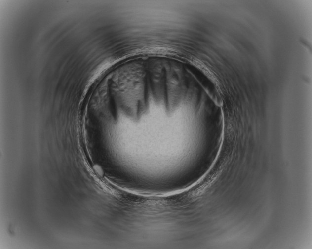 X0000097840989200804041439
