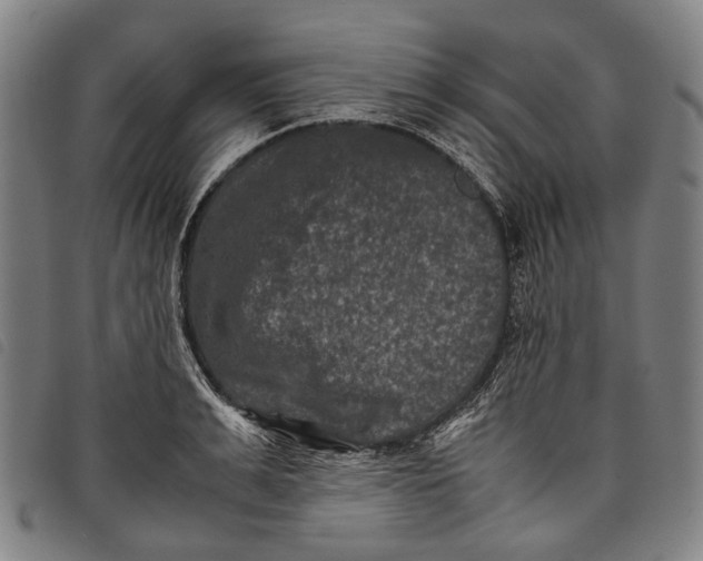 X0000097840991200804041439