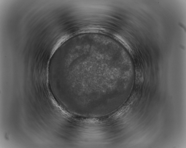 X0000097840994200804041439