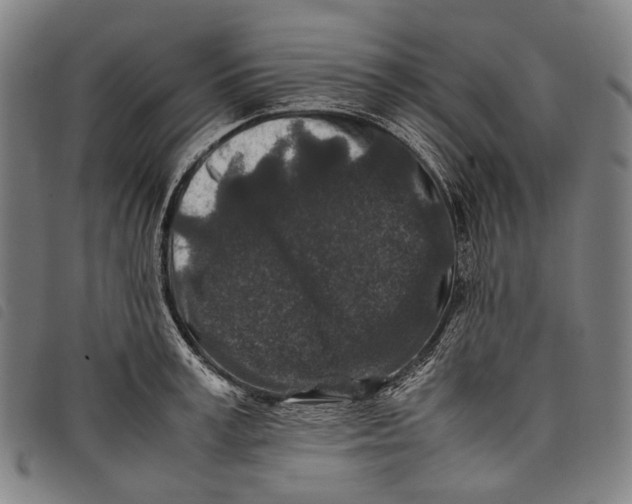 X0000097840995200804041439