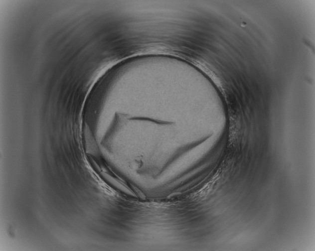 X0000097840996200804041439