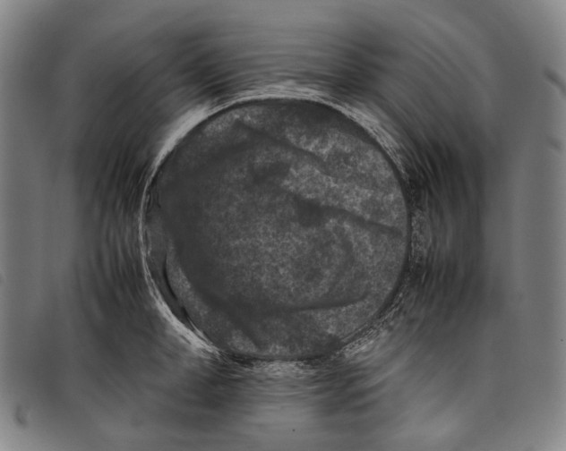 X0000097840998200804041439