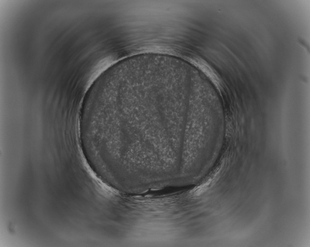 X0000097840999200804041439