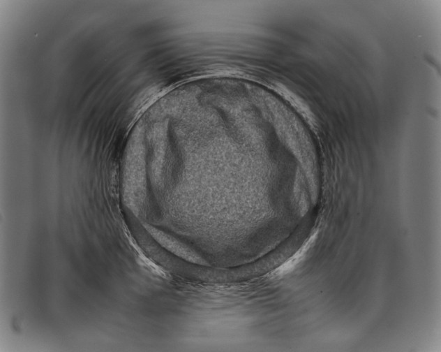 X0000097841001200804041439