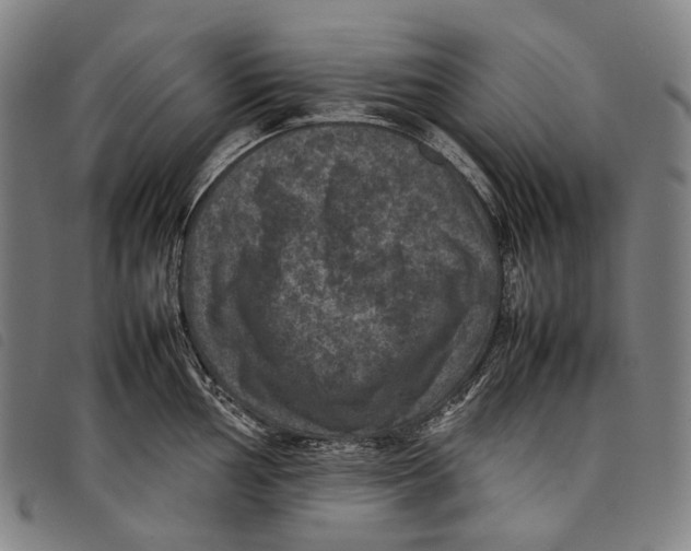 X0000097841002200804041439