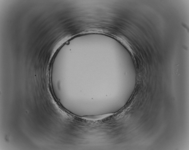 X0000097841003200804041439
