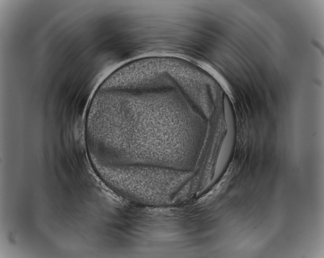 X0000097841004200804041439