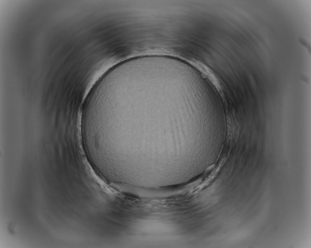 X0000097841006200804041439