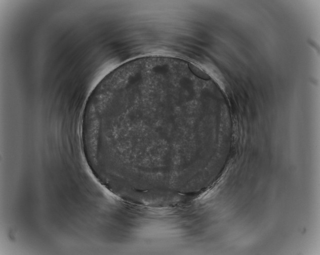 X0000097841007200804041439